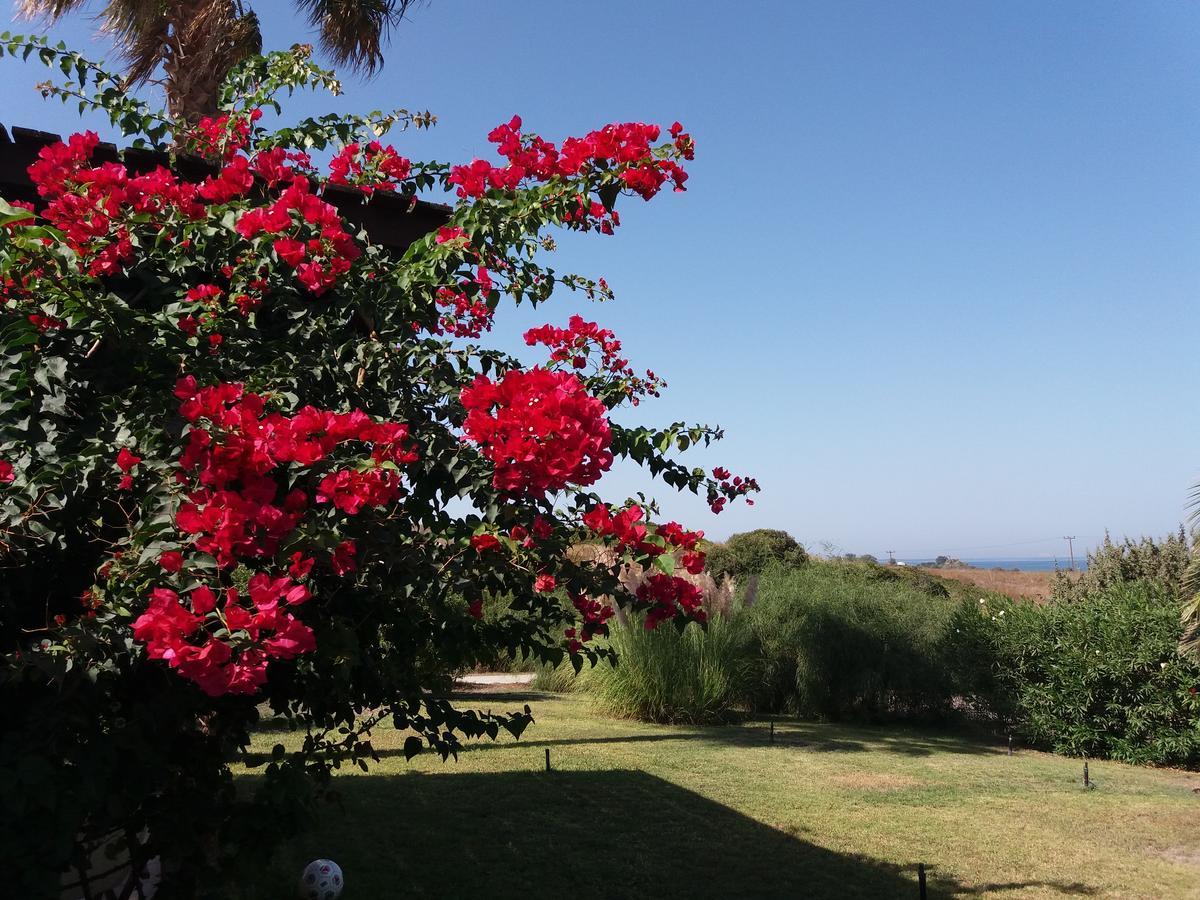 Villa Kos Mastichari  Bagian luar foto