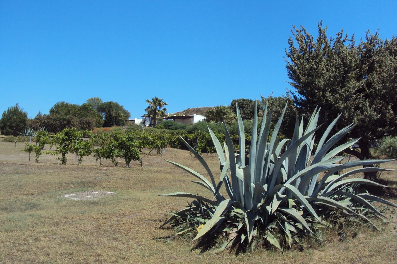 Villa Kos Mastichari  Bagian luar foto