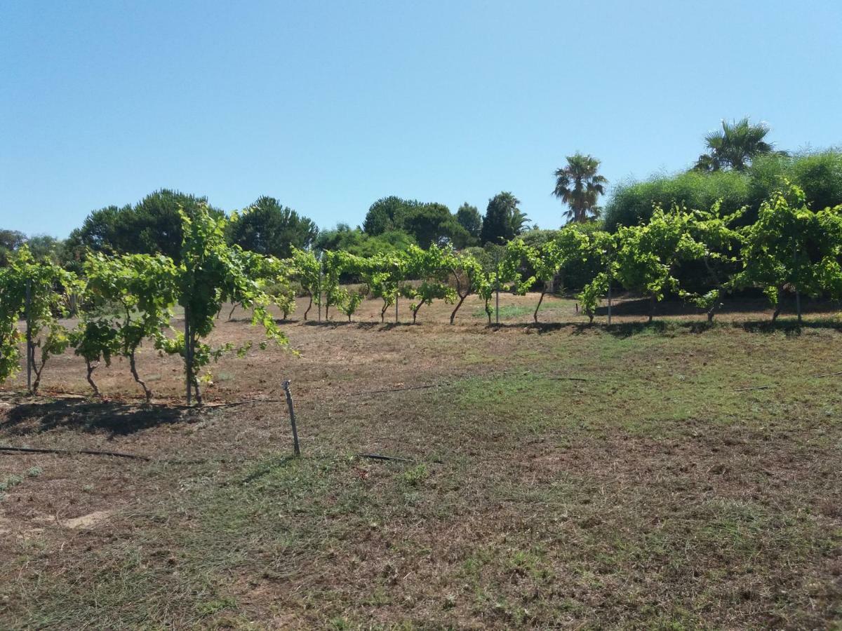 Villa Kos Mastichari  Bagian luar foto