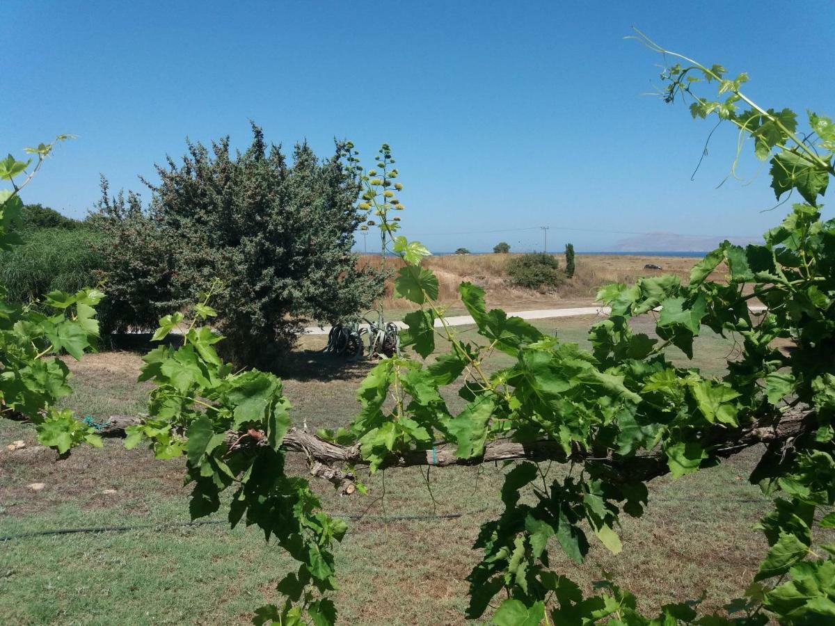 Villa Kos Mastichari  Bagian luar foto